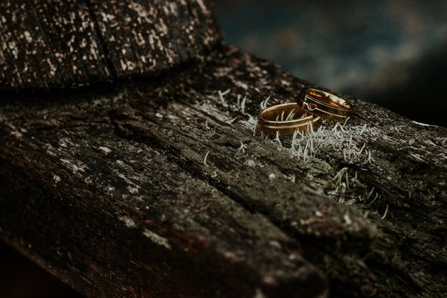 Twee trouwringen op vermolmd hout als symbool voor een scheiding die dreigt.